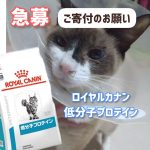 【ご寄付のお願い】猫用 ロイヤルカナン『低分子プロテイン』