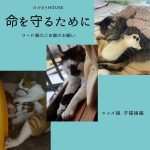 エイズ組・子猫組　物資のお願い