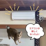 【お礼とお願い🆘】