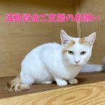 活動資金のお願い
