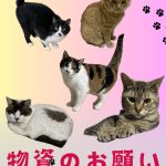 物資のお願い