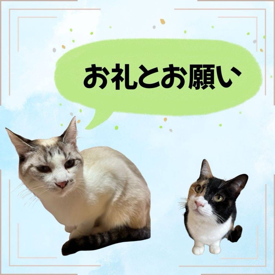 お礼とお願い