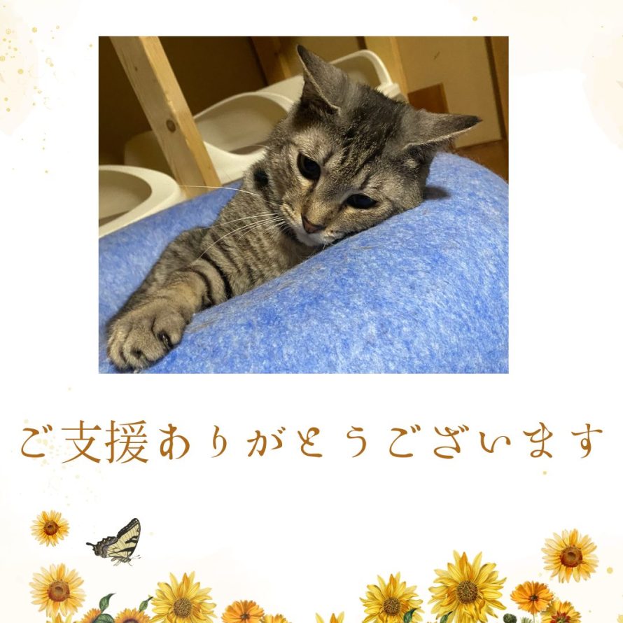 ご支援ありがとうございました