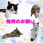 物資のお願い