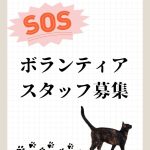 ボランティアスタッフ大募集