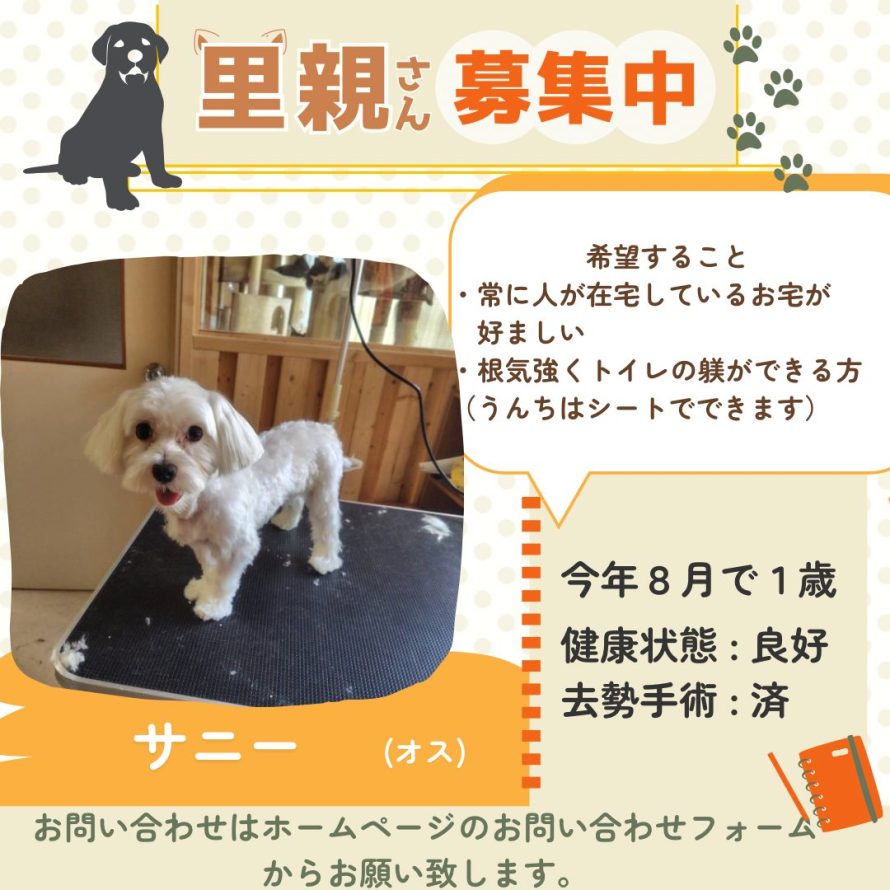 里親募集