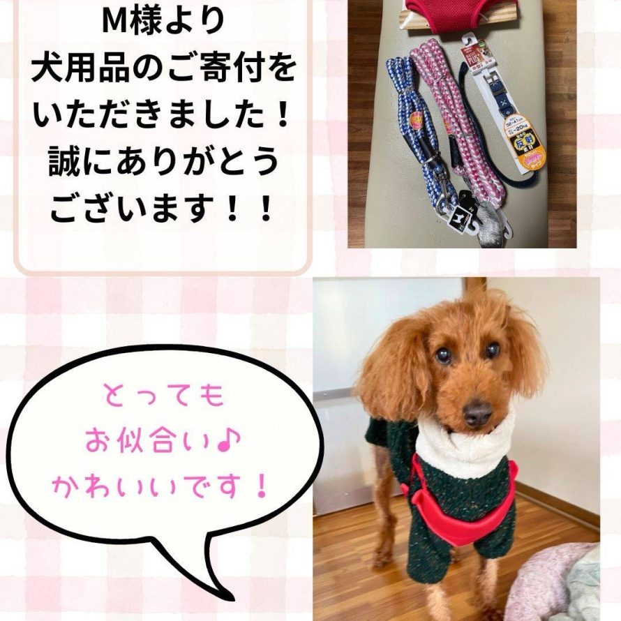 犬用品、ご寄付のお礼