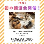 譲渡会開催について