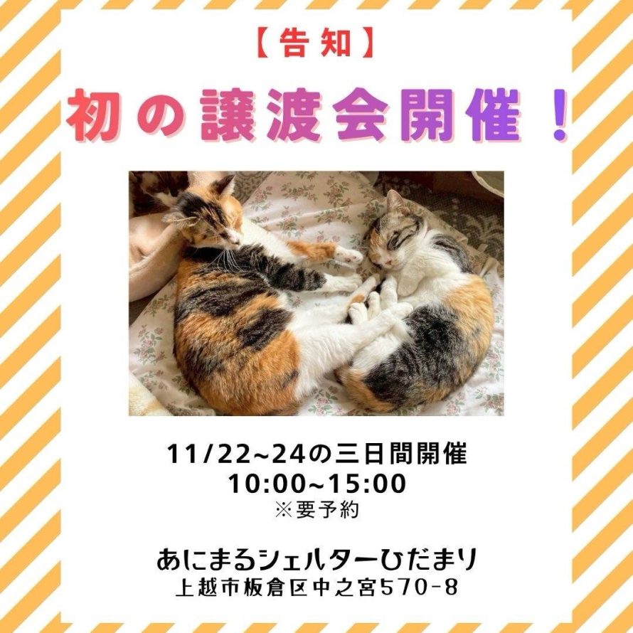 譲渡会開催について