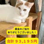 募金ありがとうございました