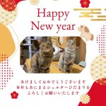 あけましておめでとうございます