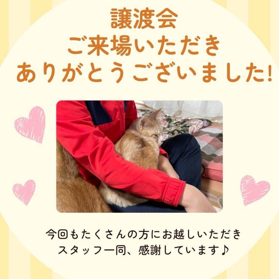 譲渡会ありがとうございました♪