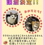 正式譲渡決定‼️